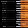 Wood Carving Chisel Tool Set for Engraving and Crafting Projects